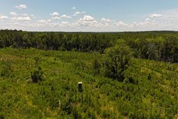 0 Halsellville Rd Road photo 4