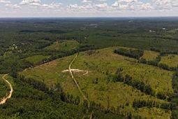 0 Halsellville Rd Road photo 4