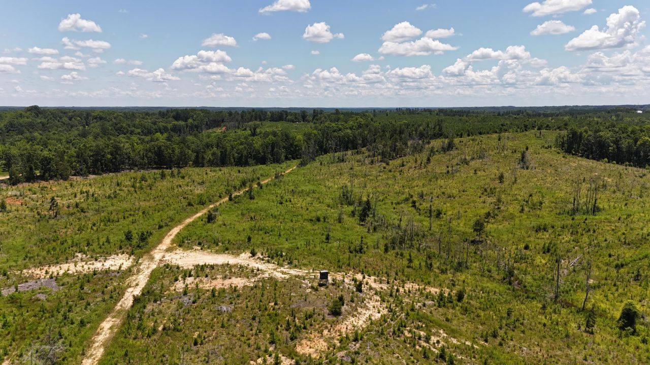 0 Halsellville Rd Road Photo 5