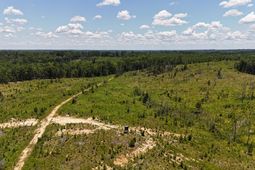 0 Halsellville Rd Road photo 4