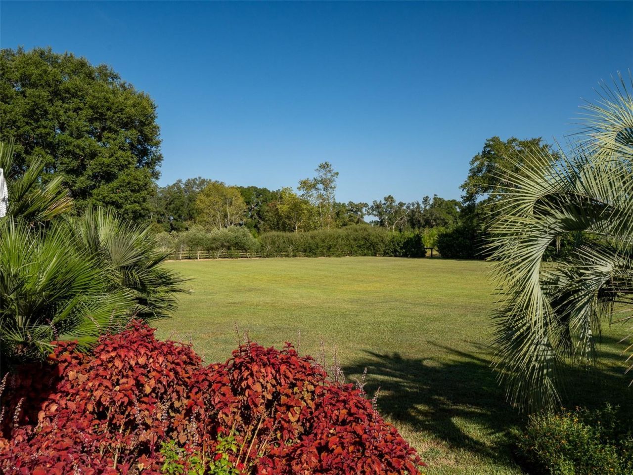 15122 NW 41st Avenue, Newberry, FL 32669 Photo