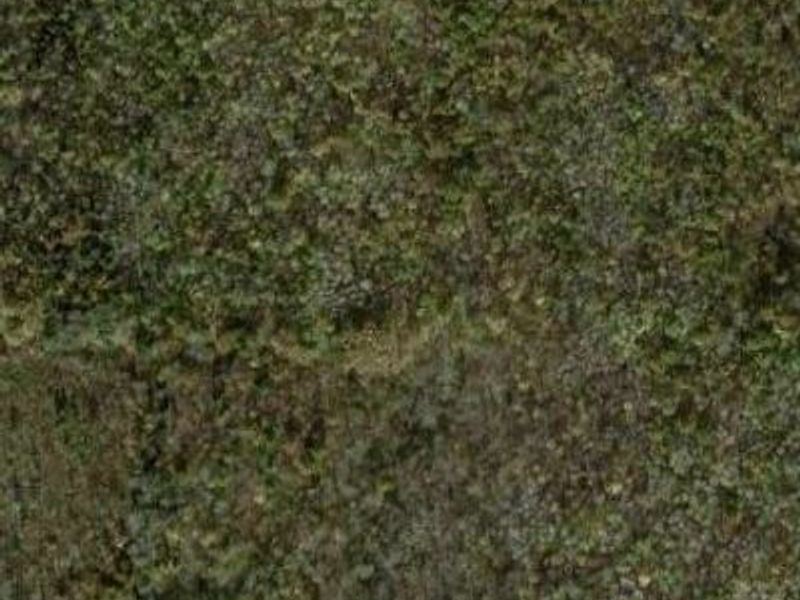 Lewis Road, Pierpont, OH 44082 Photo 1