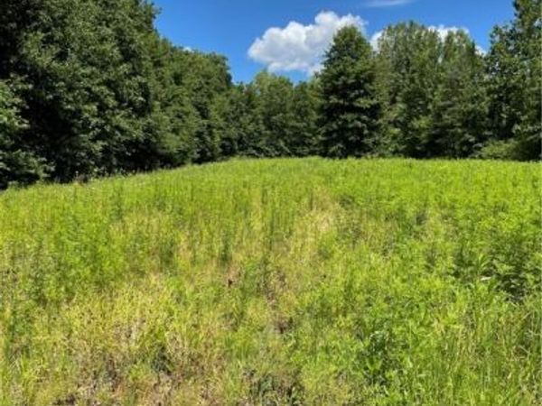 Cowley Road, Columbia Station, OH 44028