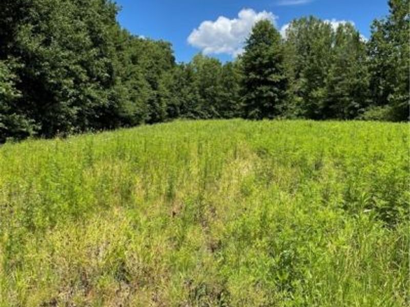 Cowley Road, Columbia Station, OH 44028 Photo 1