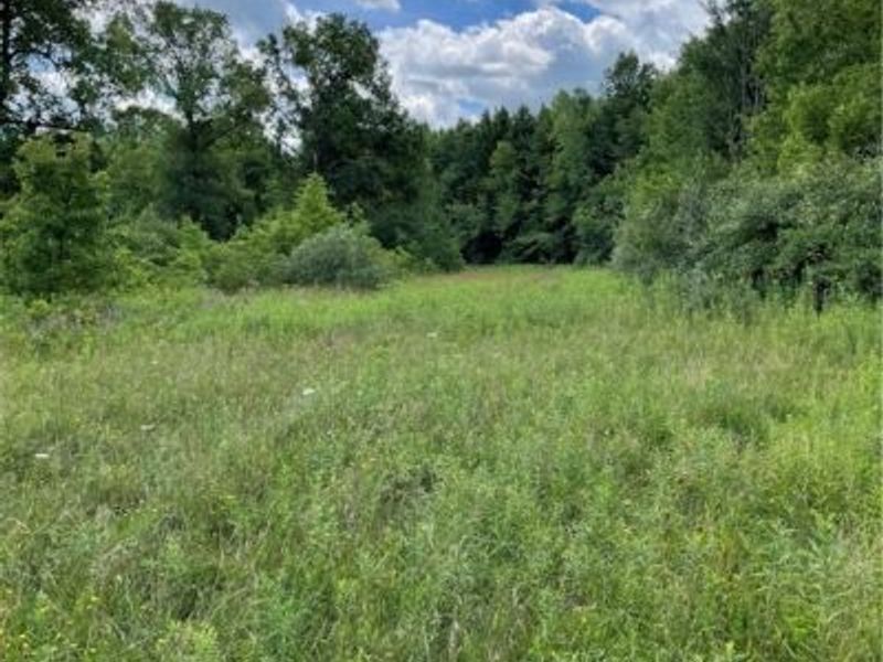 Cowley Road, Columbia Station, OH 44028 Photo 2