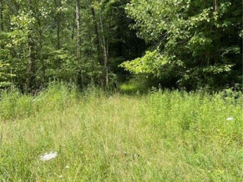 Cowley Road, Columbia Station, OH 44028 Photo 3