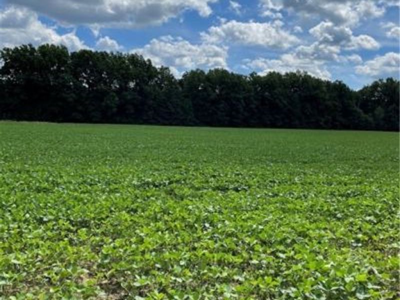 Cowley Road, Columbia Station, OH 44028 Photo 4