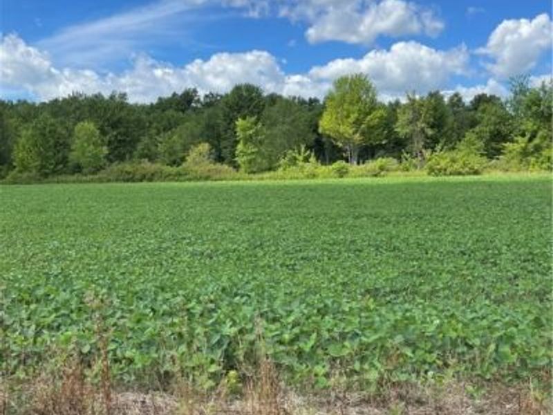 Cowley Road, Columbia Station, OH 44028 Photo 5