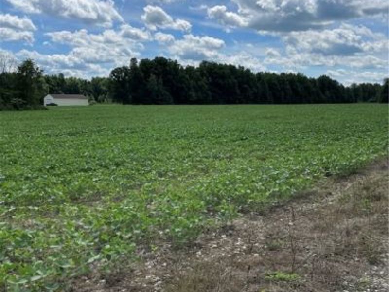 Cowley Road, Columbia Station, OH 44028 Photo 6