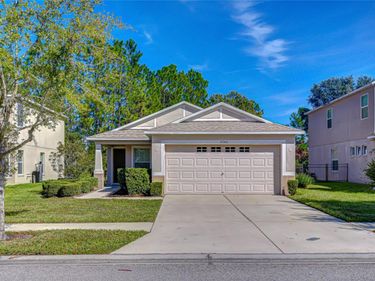 4246 WARWICK HILLS DRIVE, WESLEY CHAPEL, FL 33543