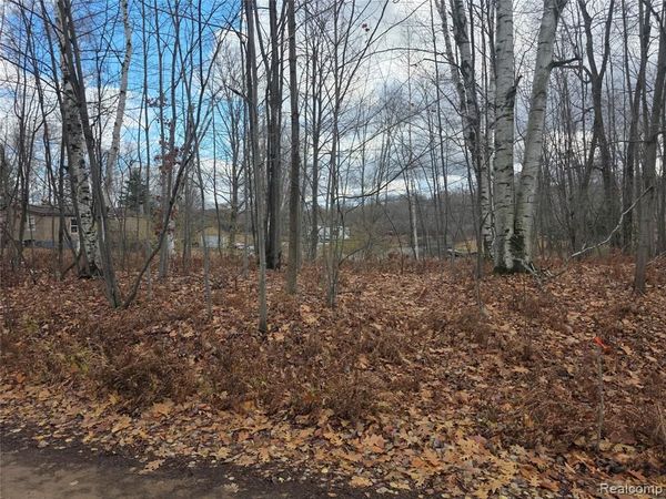 VL Birch Road, Hartwick Twp, MI 49631