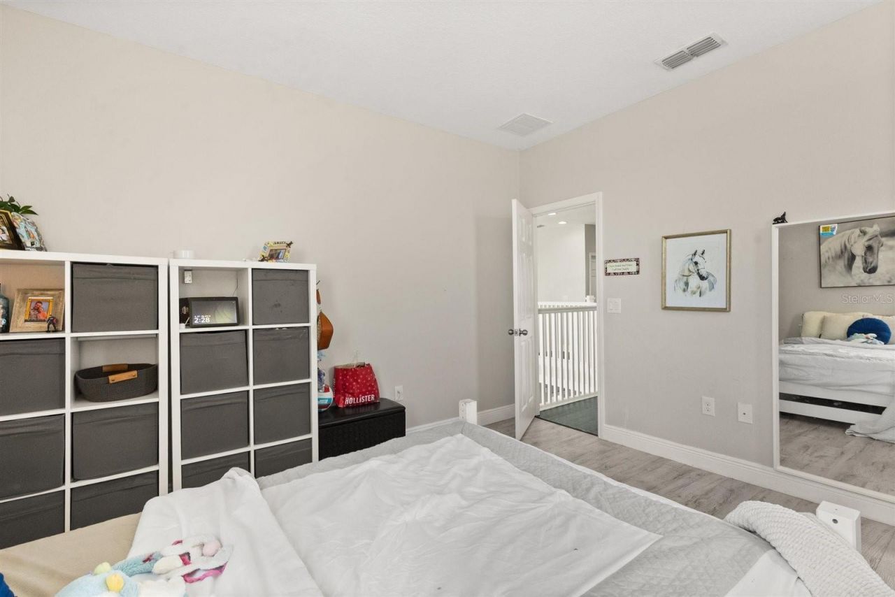 359 Blue Cypress Drive, Groveland, FL 34736 Photo