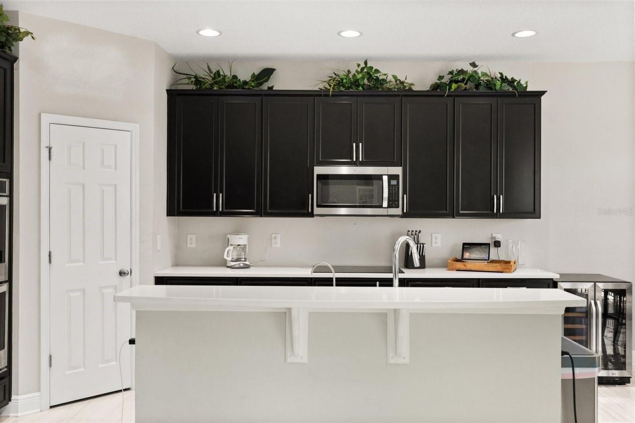 359 Blue Cypress Drive, Groveland, FL 34736 Photo