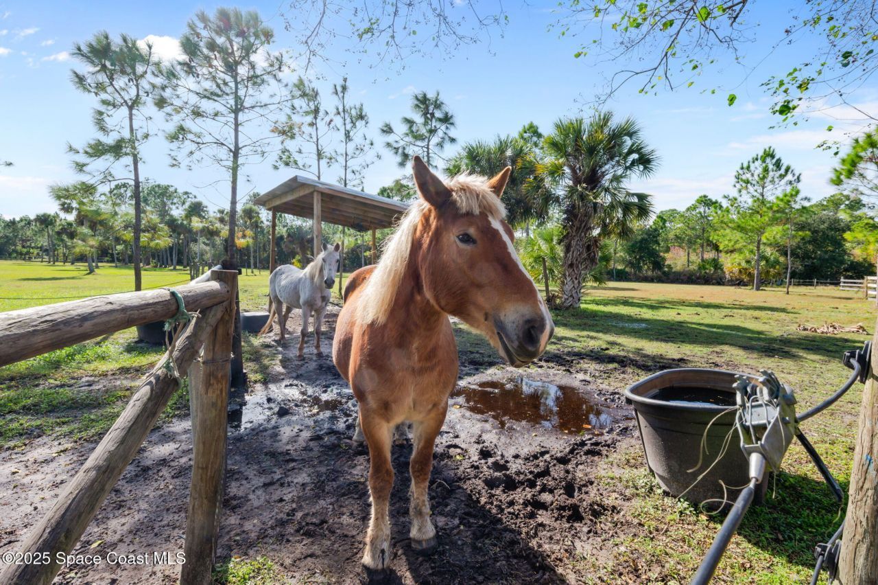 3262 Pheasant Trail, Mims, FL 32754 Photo