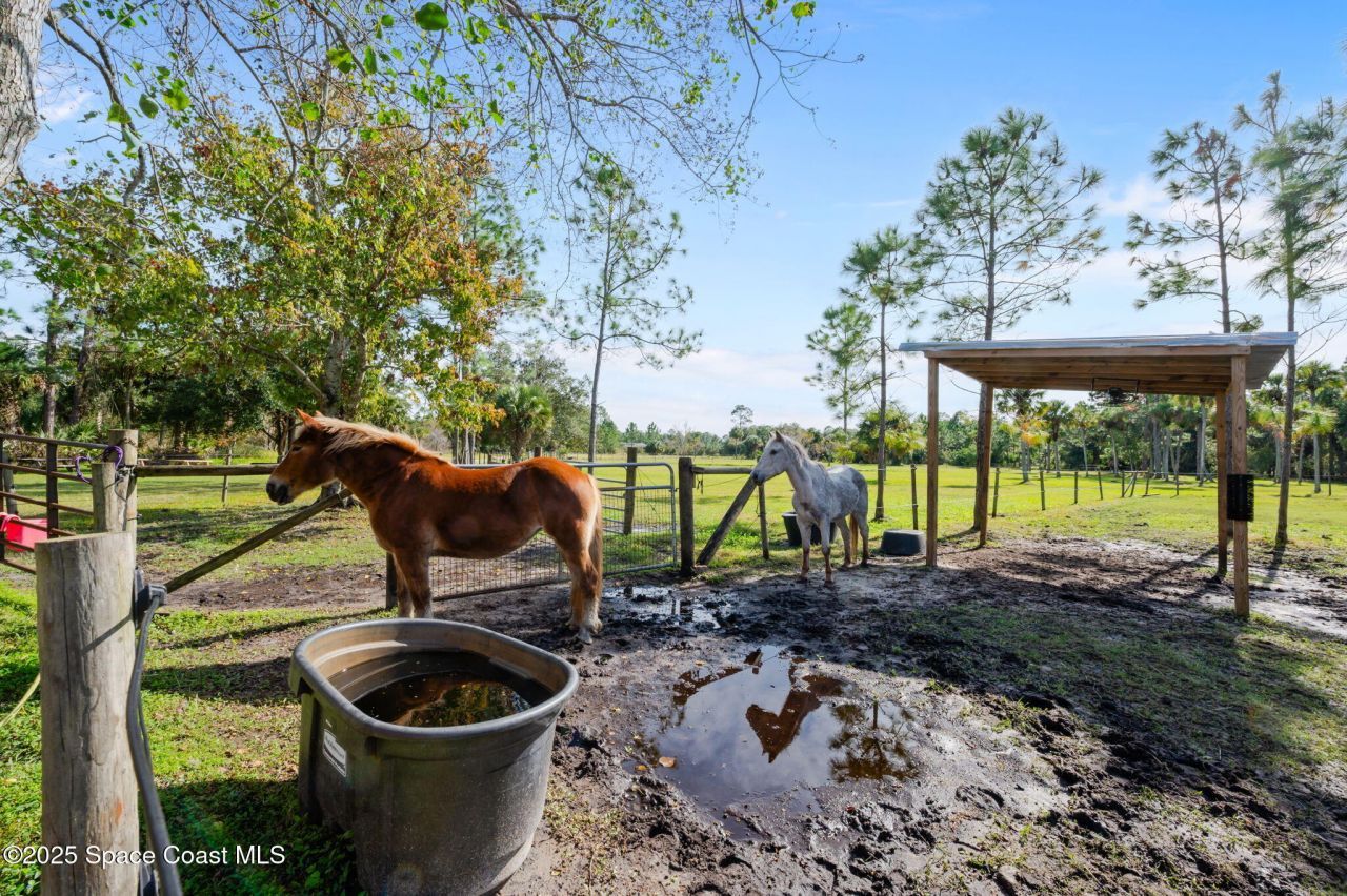 3262 Pheasant Trail, Mims, FL 32754 Photo