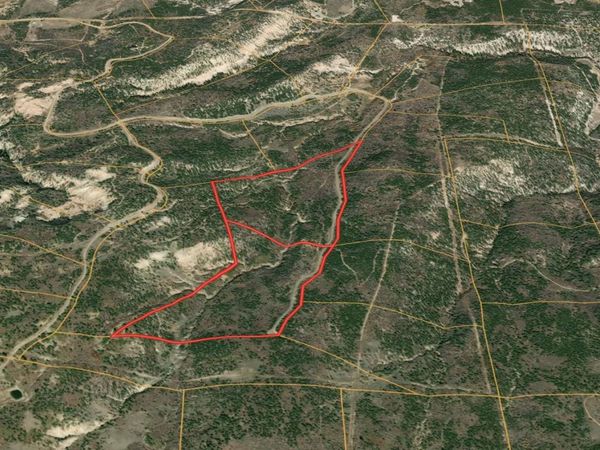 18975 Elk Reserve Road , Glade Park, CO 81523