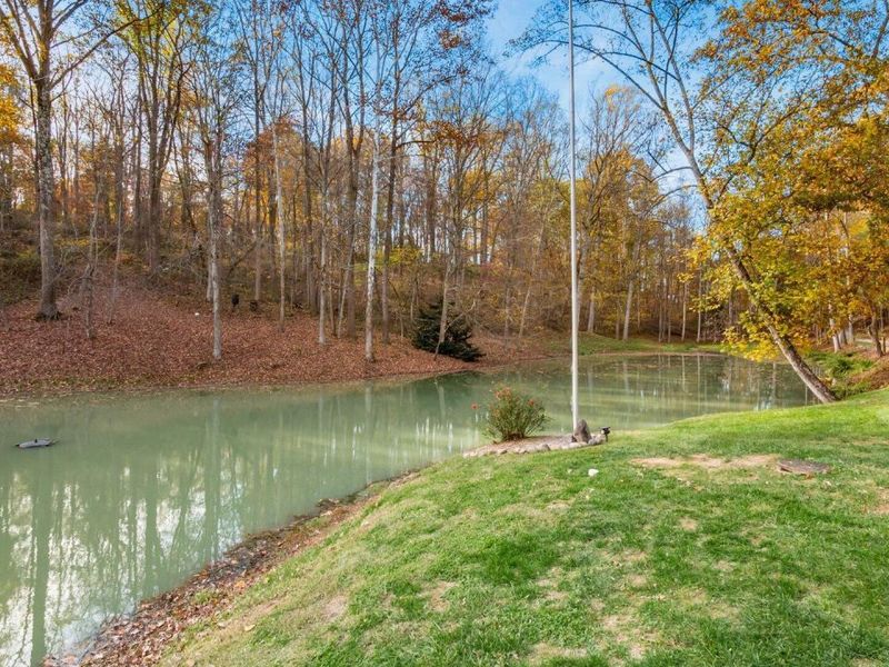 46585 Morning Star Road, Racine, OH 45771 Photo 10