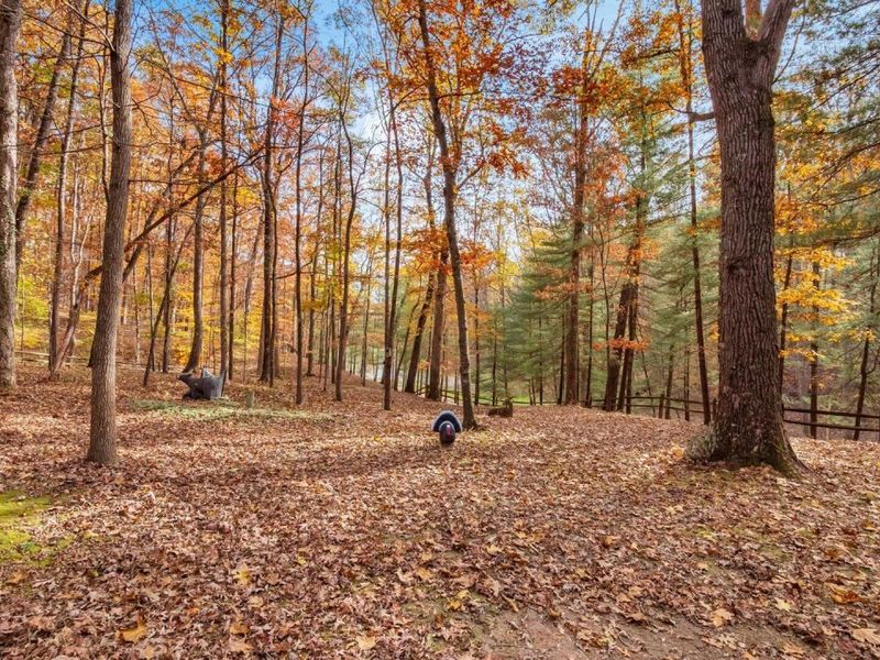 46585 Morning Star Road, Racine, OH 45771 Photo 40