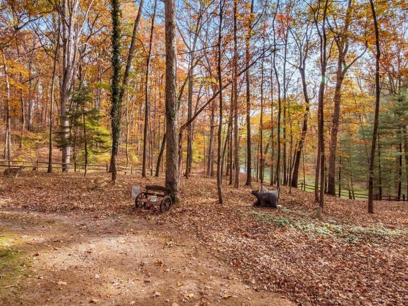 46585 Morning Star Road, Racine, OH 45771 Photo 42