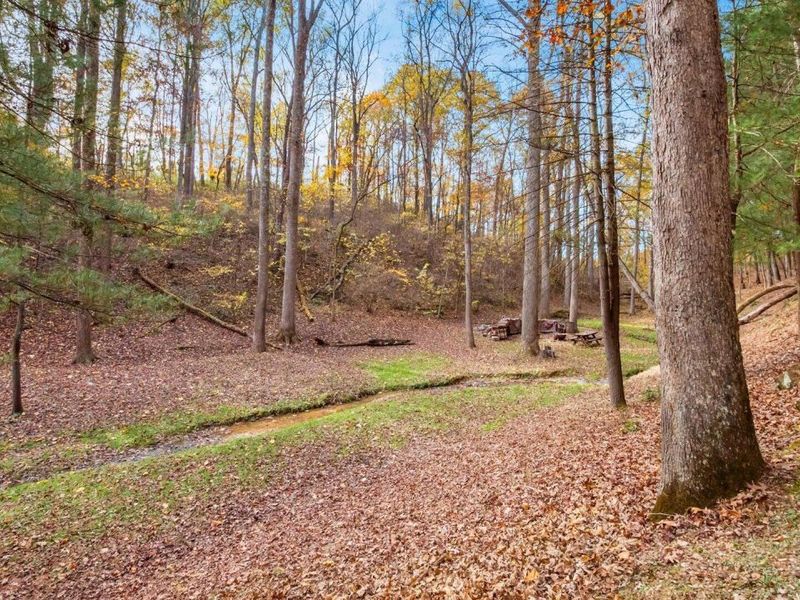 46585 Morning Star Road, Racine, OH 45771 Photo 43