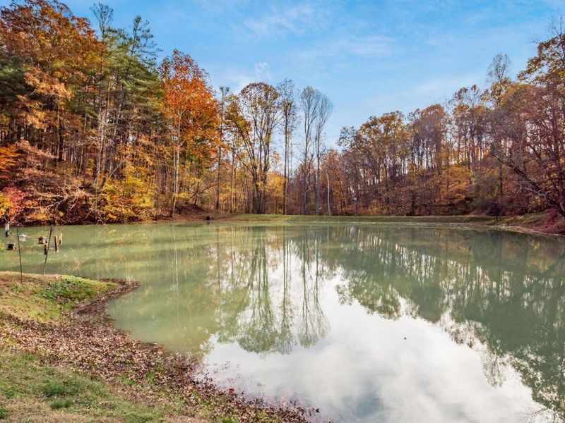 46585 Morning Star Road, Racine, OH 45771 Photo 9