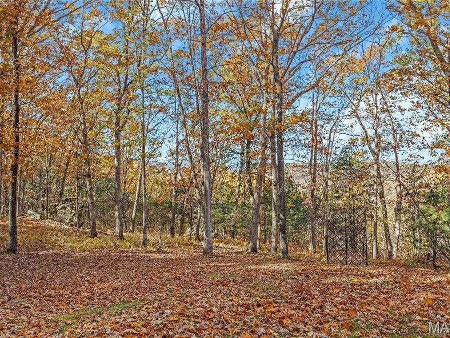 Property Image 64