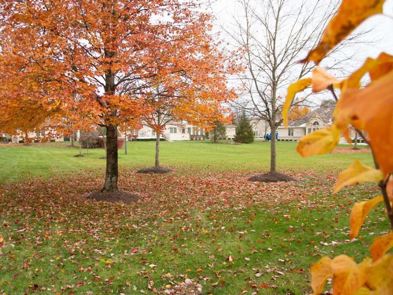 110 Ironclad Drive, Unit 9, Columbus, OH 43213 Photo 4