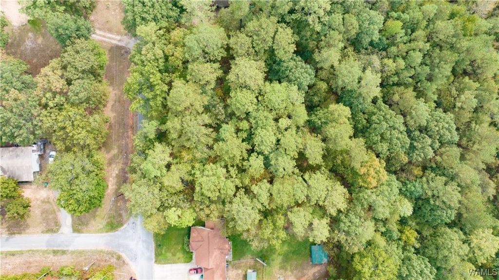 0 Teddy Drive, Mc Calla, AL 35111 Main Photo