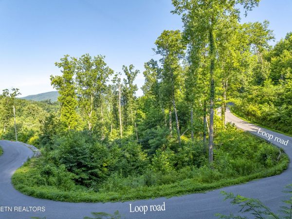 Loop Rd, Gatlinburg, TN 37738