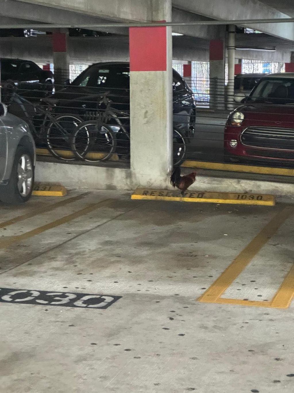 850 N Miami Avenue, Unit 703, Miami, FL 33136 Photo