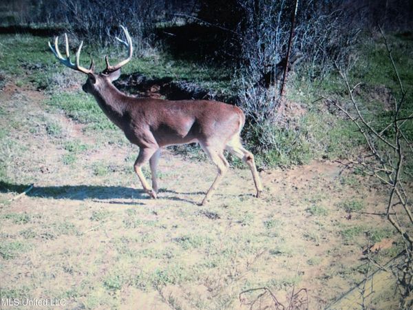 001 Farr Road, Bolton, MS 39041