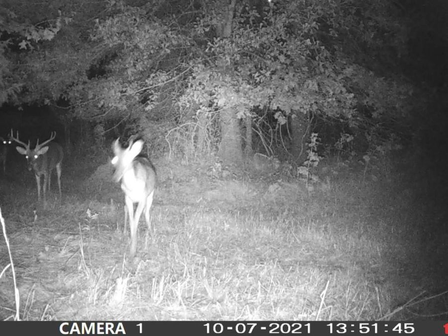 Property Image 128