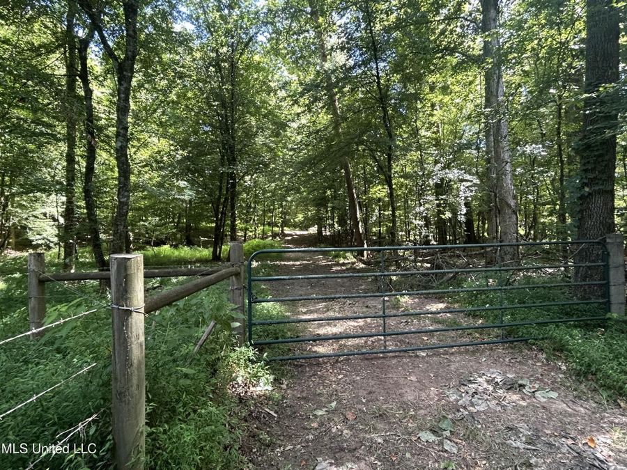 Property Image 29