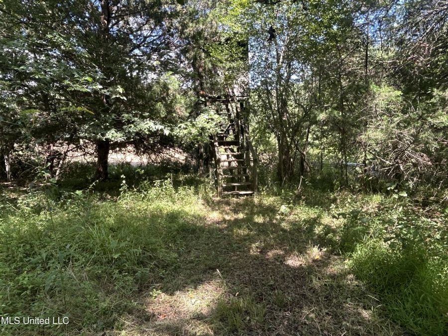 Property Image 43
