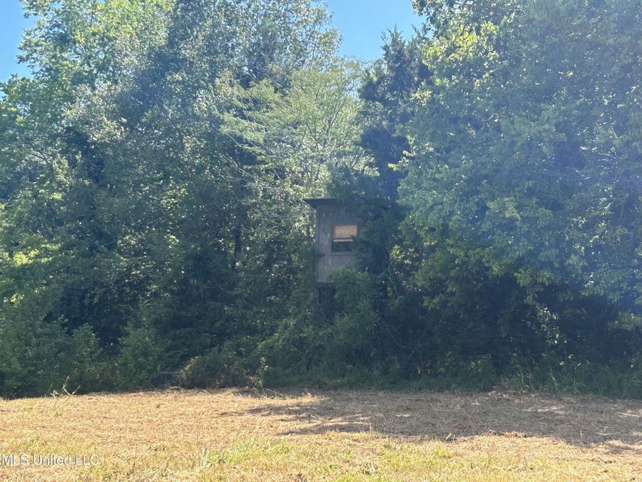 Property Image 47