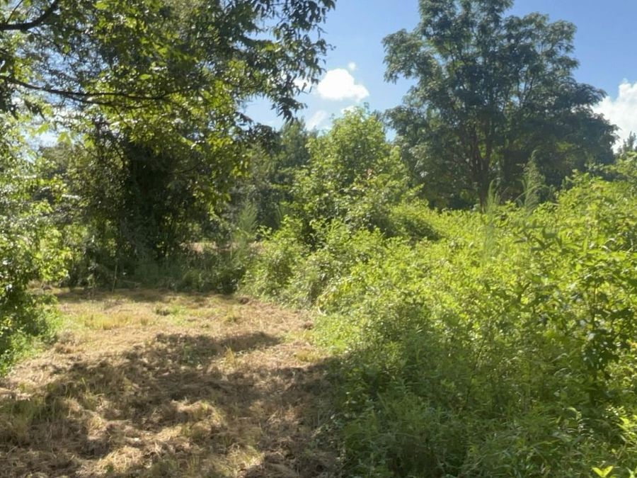 Property Image 57