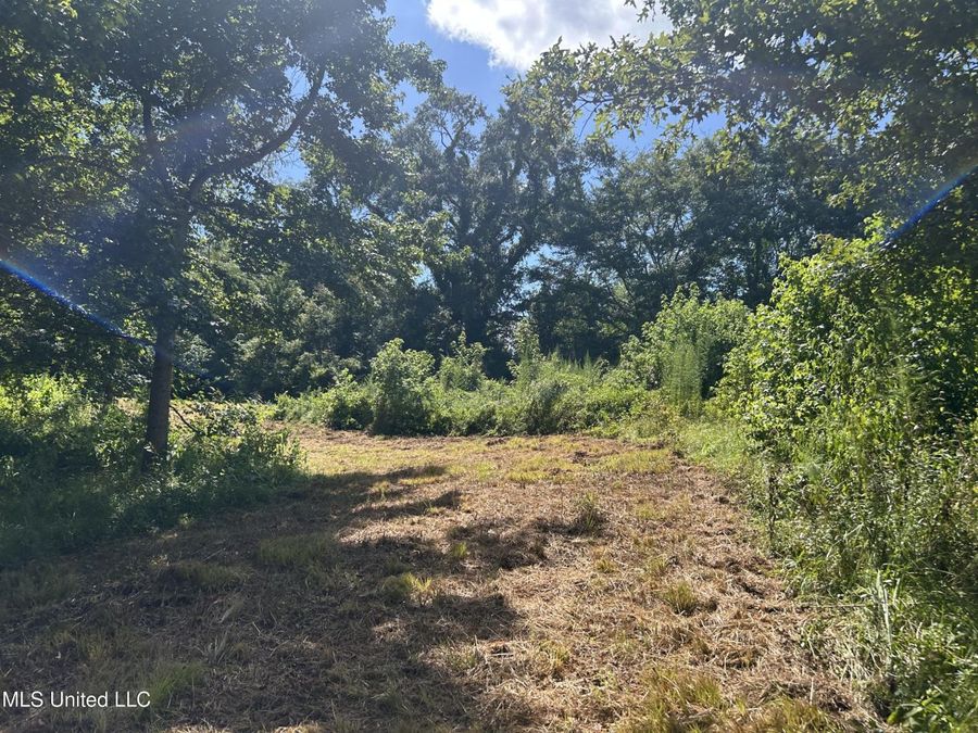 Property Image 67