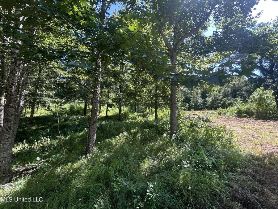 Property Image 68