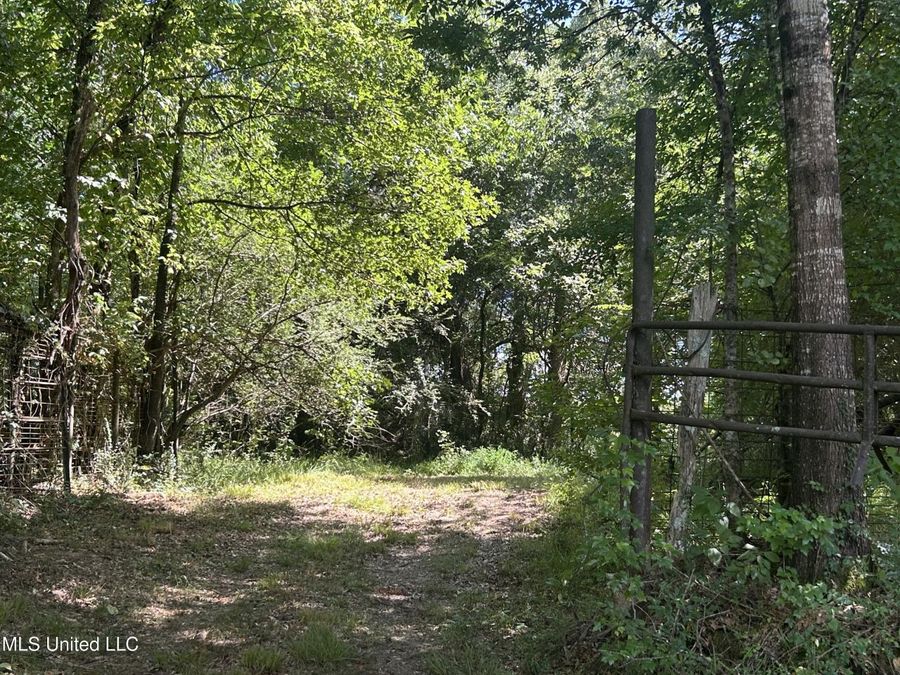 Property Image 74