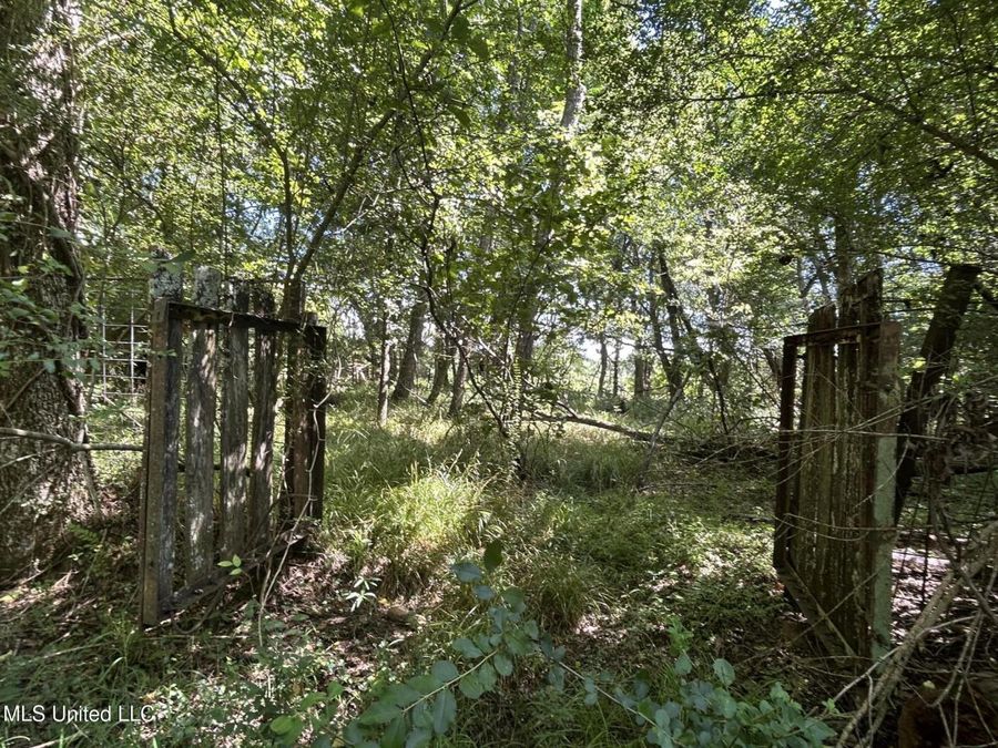 Property Image 75