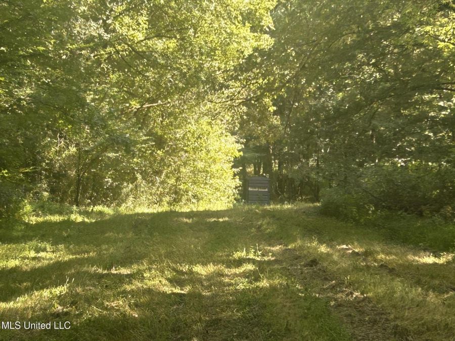 Property Image 95