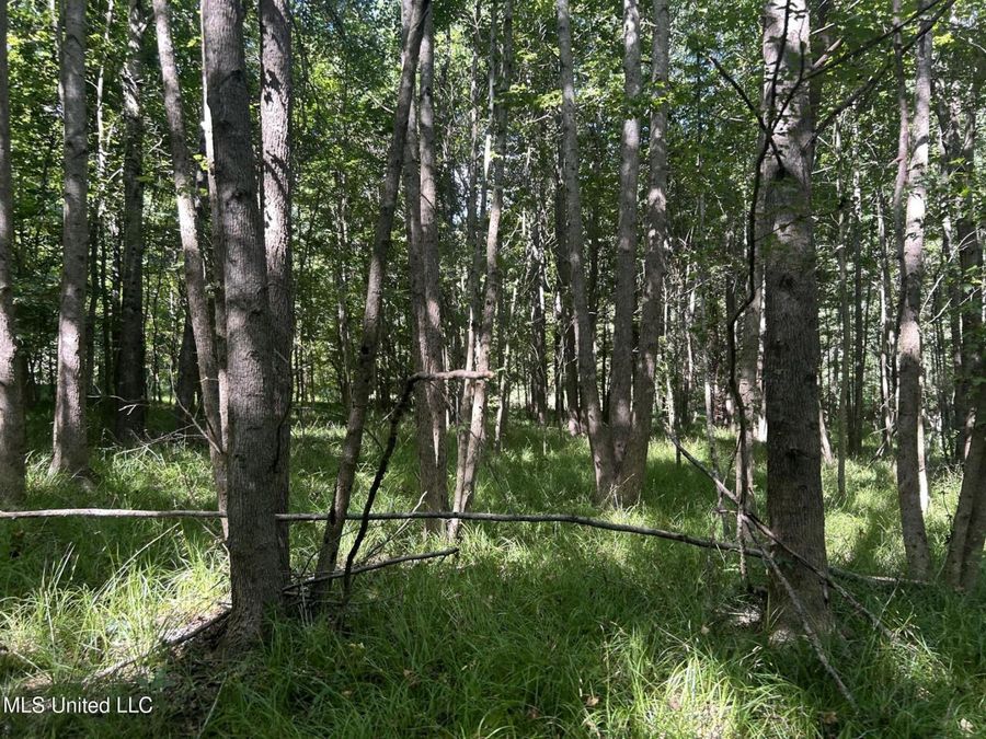 Property Image 100