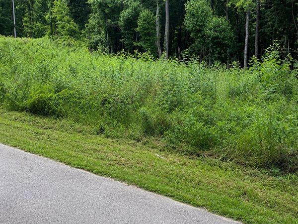 0 Chandler Rd, Woodlawn, TN 37191