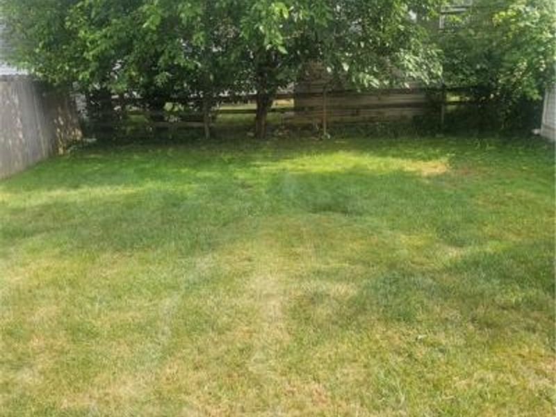 3898 Salisbury Road, South Euclid, OH 44121 Photo 6