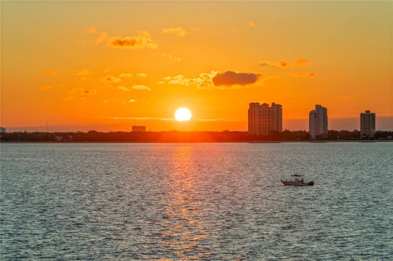 82 Martinique Avenue, Tampa, FL 33606 Photo