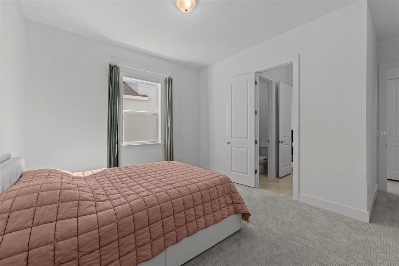 9185 Sanders Tree Loop, Wesley Chapel, FL 33545 Photo