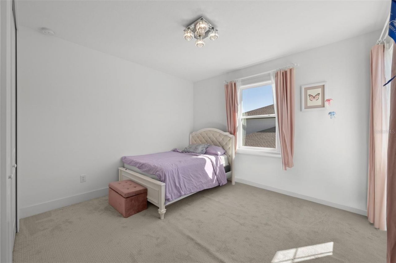 9185 Sanders Tree Loop, Wesley Chapel, FL 33545 Photo