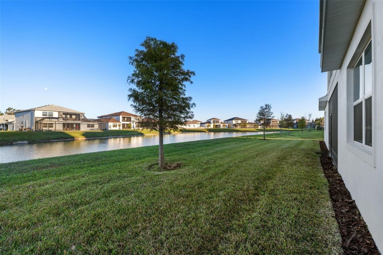 9185 Sanders Tree Loop, Wesley Chapel, FL 33545 Photo