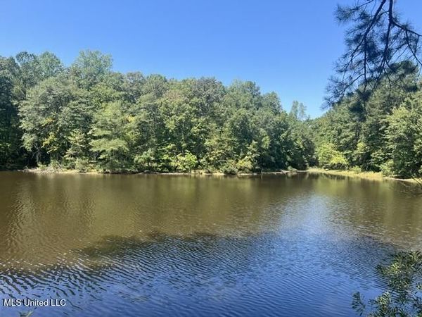 Co Road 2428, Enterprise, MS 39330