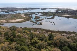 203 Lake Timicau Lane photo 4